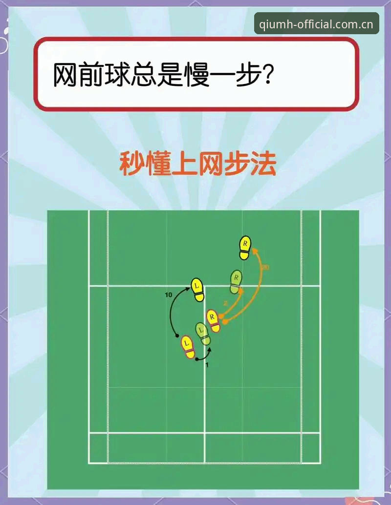 球盟会官网网页版登录方法实操教程：从赵琳的体验看最新变化